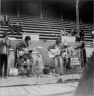 Hawk at Ellis Park June 1970